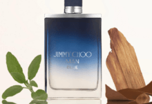 Jimmy Choo Man Blue İncelemesi